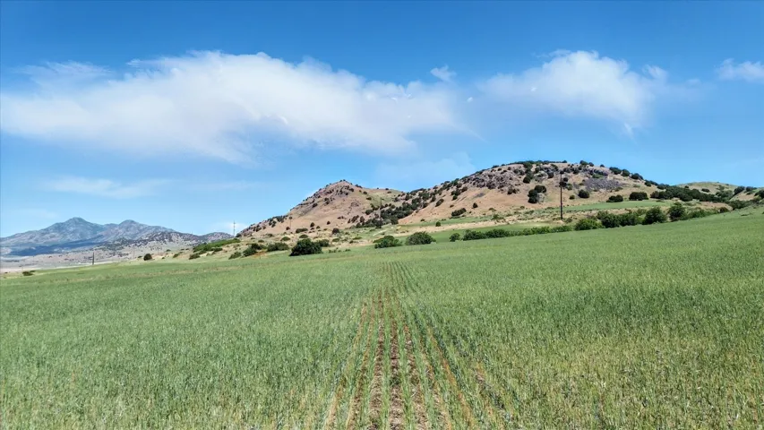 16408 N Beaver Dam Rd, Beaverdam, Utah 84306