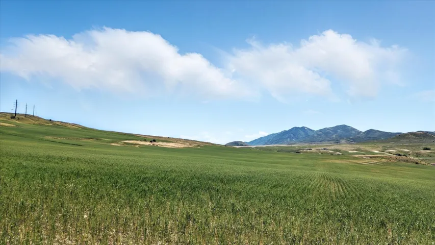 16408 N Beaver Dam Rd, Beaverdam, Utah 84306