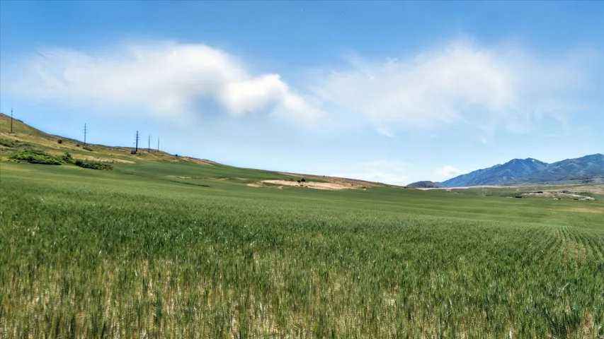 16408 N Beaver Dam Rd, Beaverdam, Utah 84306