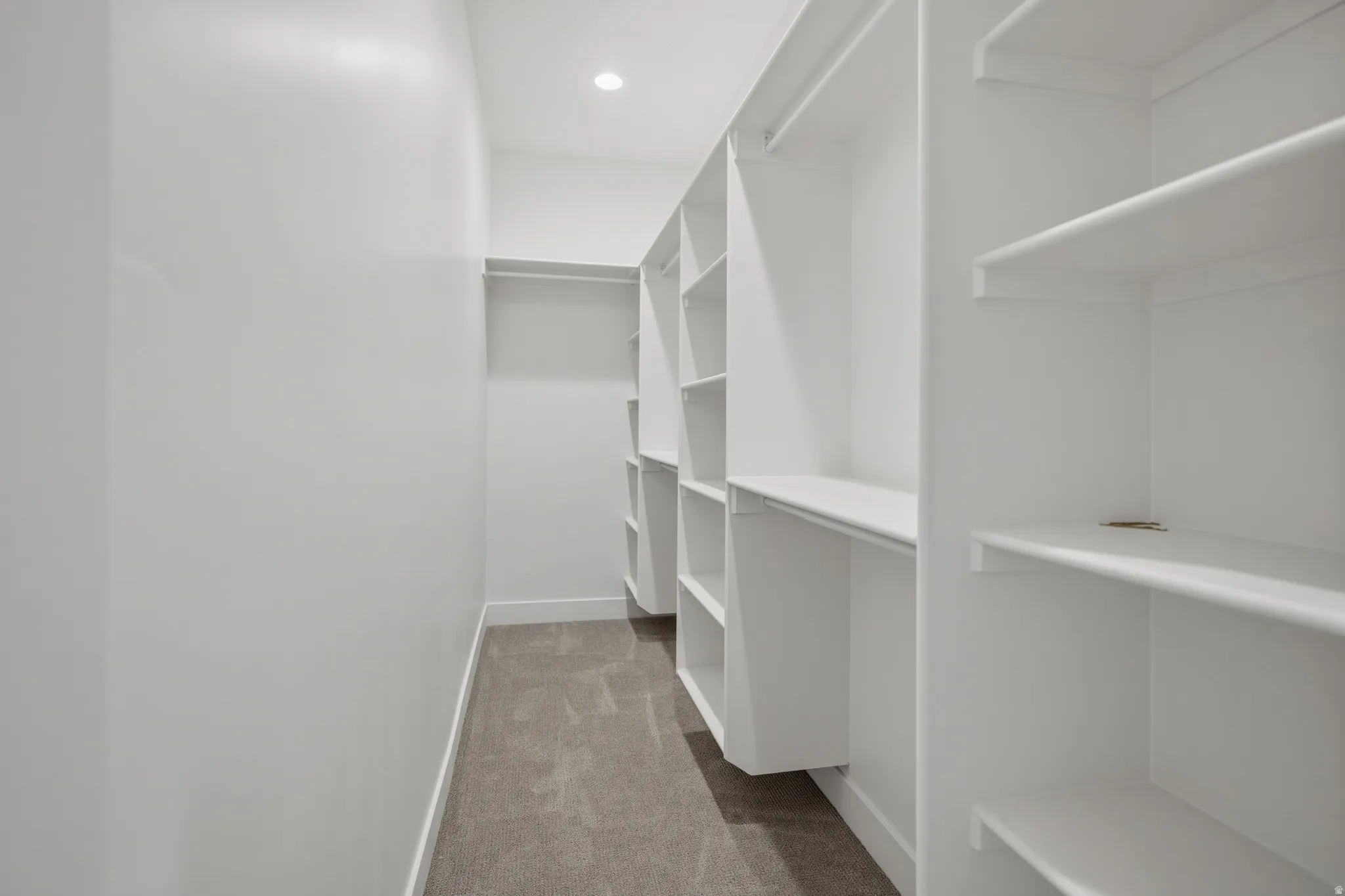 Walk in closet featuring light colored carpet