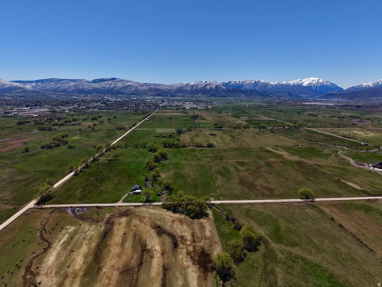 Aerial view of sparsely populated area with a mountain backdrop