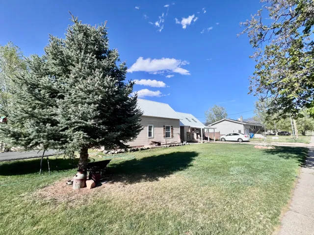 View of grassy yard