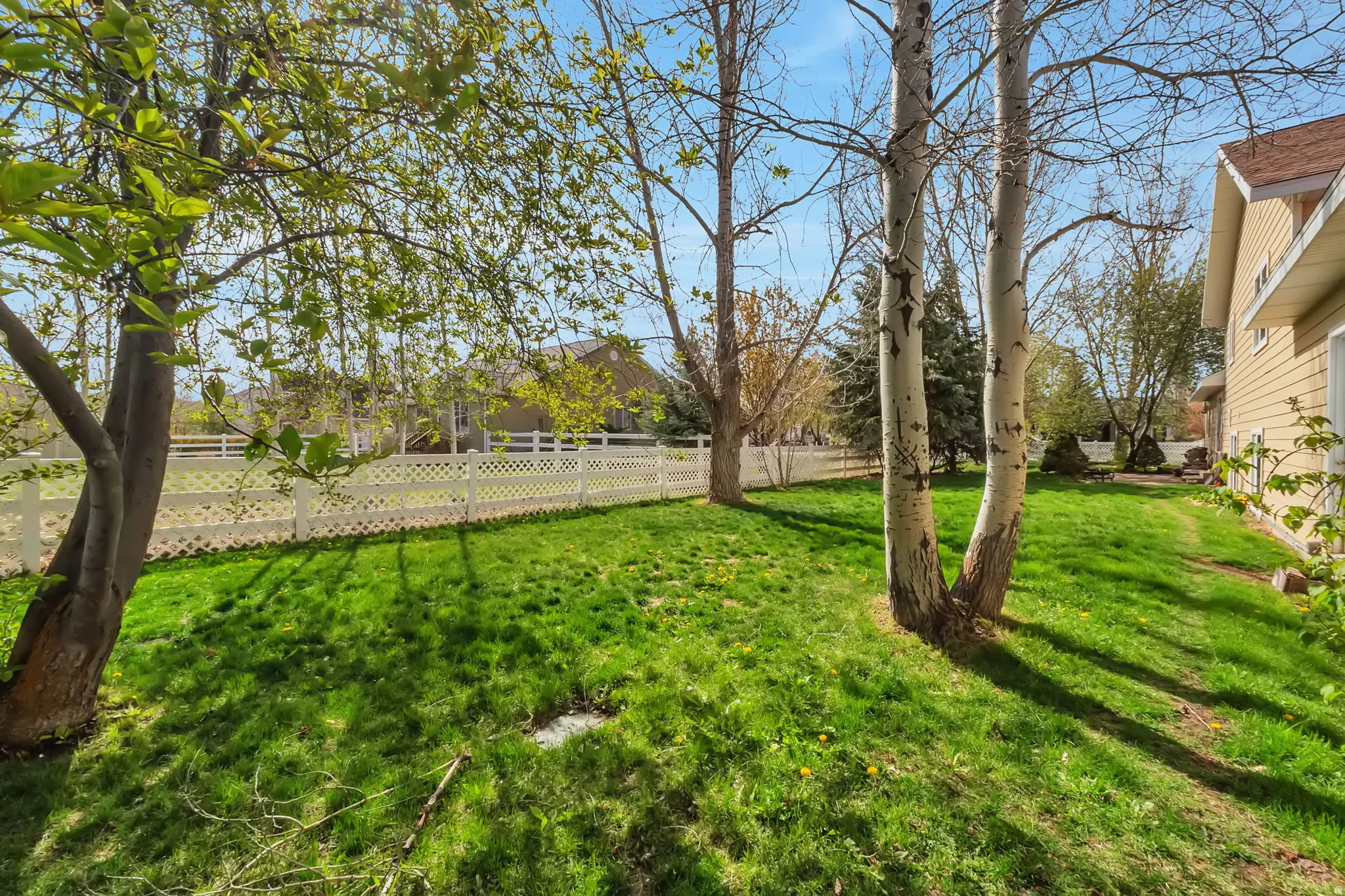 View of fenced yard