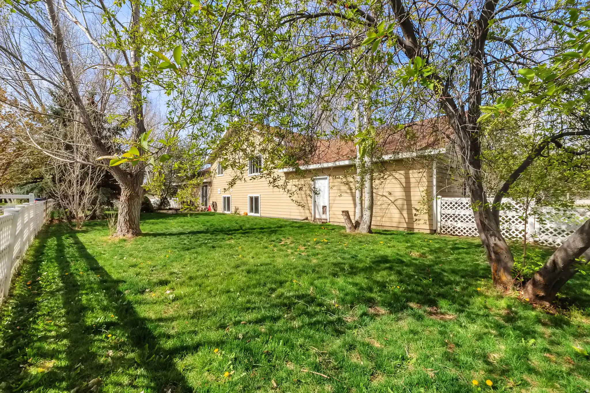 View of fenced yard