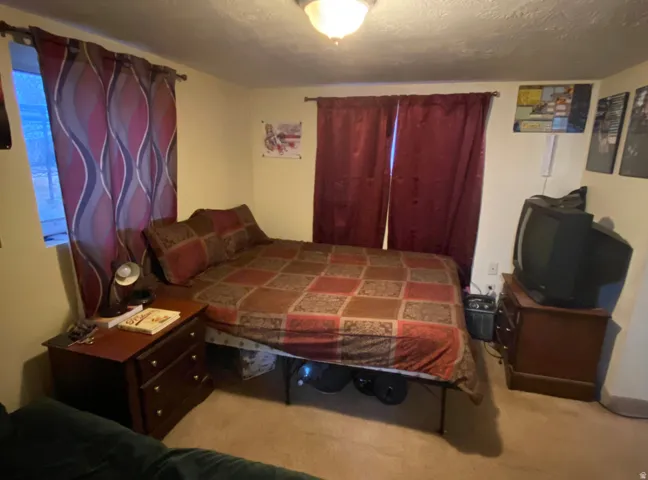 Basement House