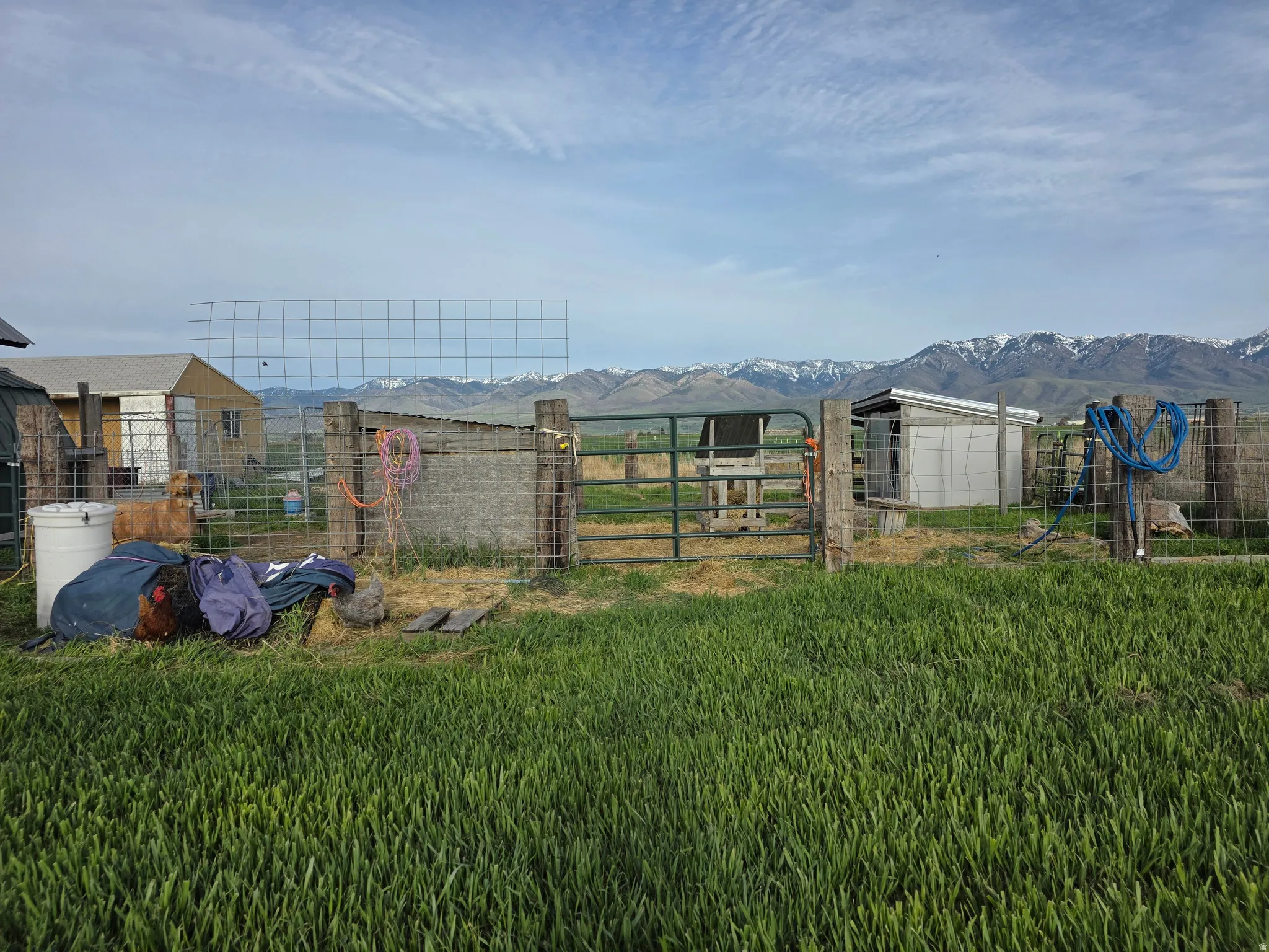 View of yard featuring an outdoor structure and a mountain view