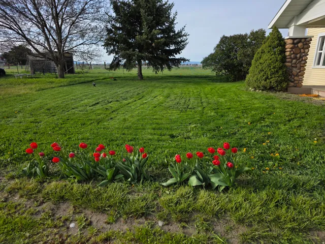 View of green lawn