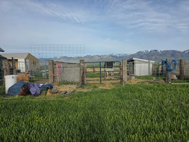 View of yard featuring an outdoor structure and a mountain view