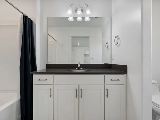 Primary Suite Bath