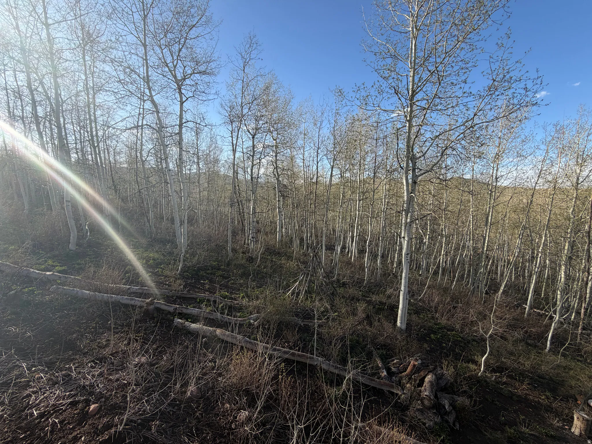 View of undeveloped land