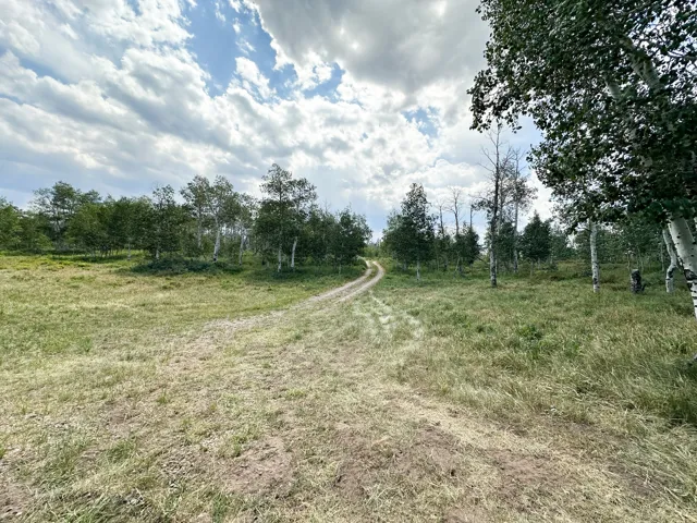 Unit 44, Kamas, Utah 84036