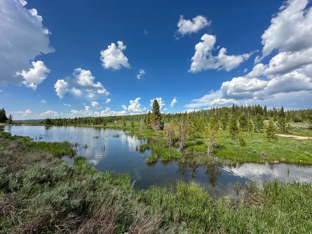 Unit 44, Kamas, Utah 84036