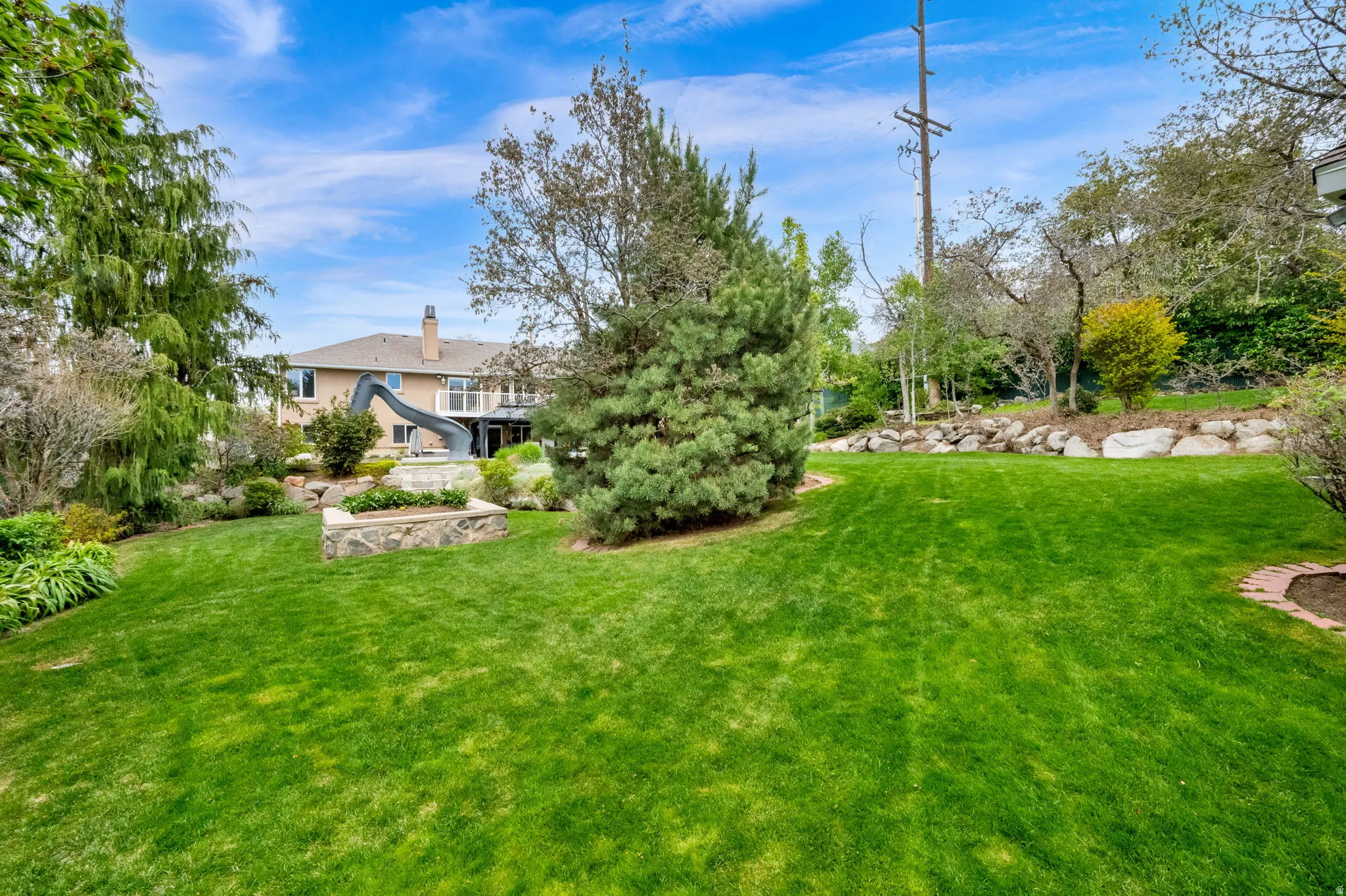 View of grassy yard