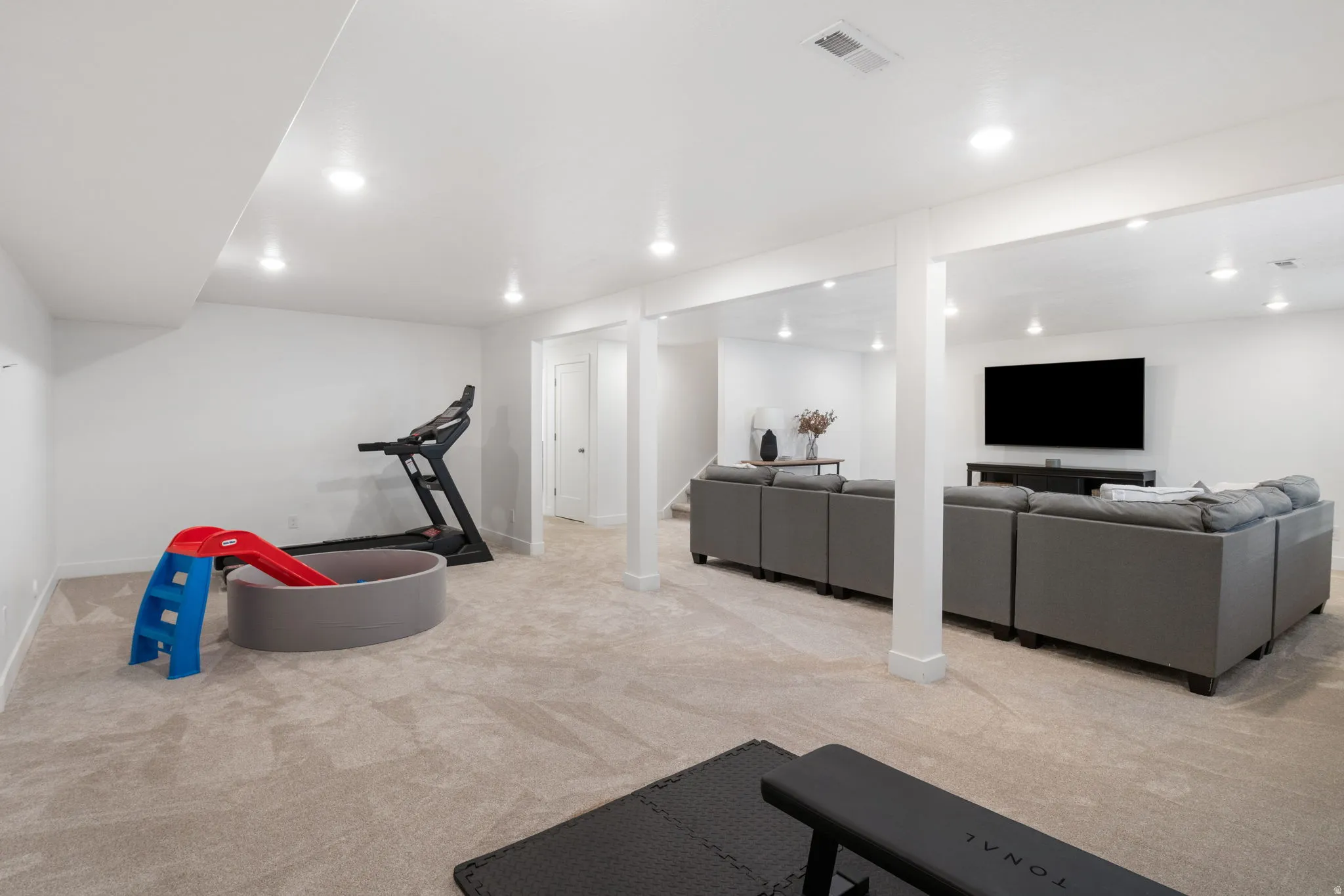 Exercise and play area