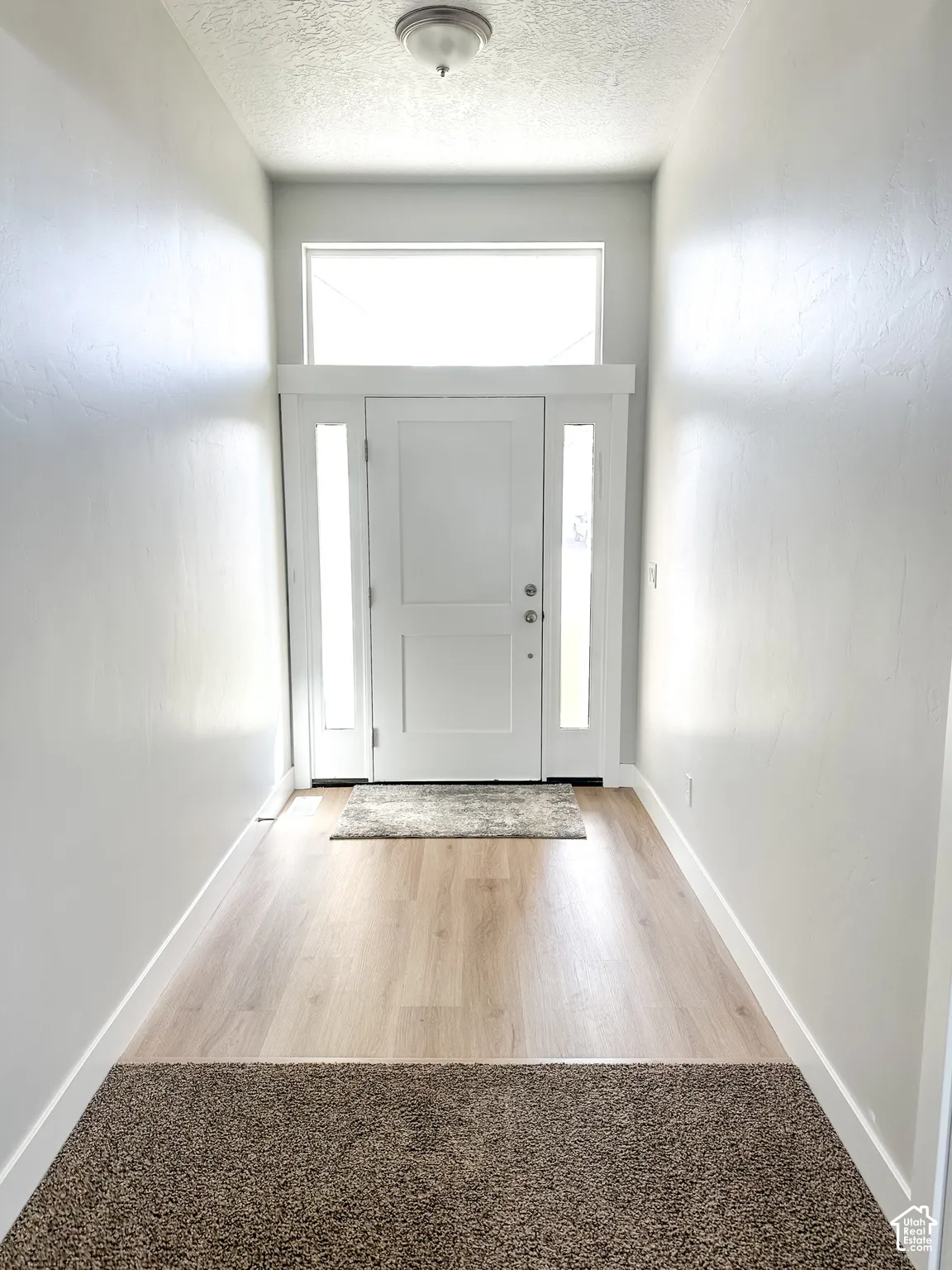 Front entry with wood-finish flooring, white trim, and a white paneled door with glass sidelights and transom