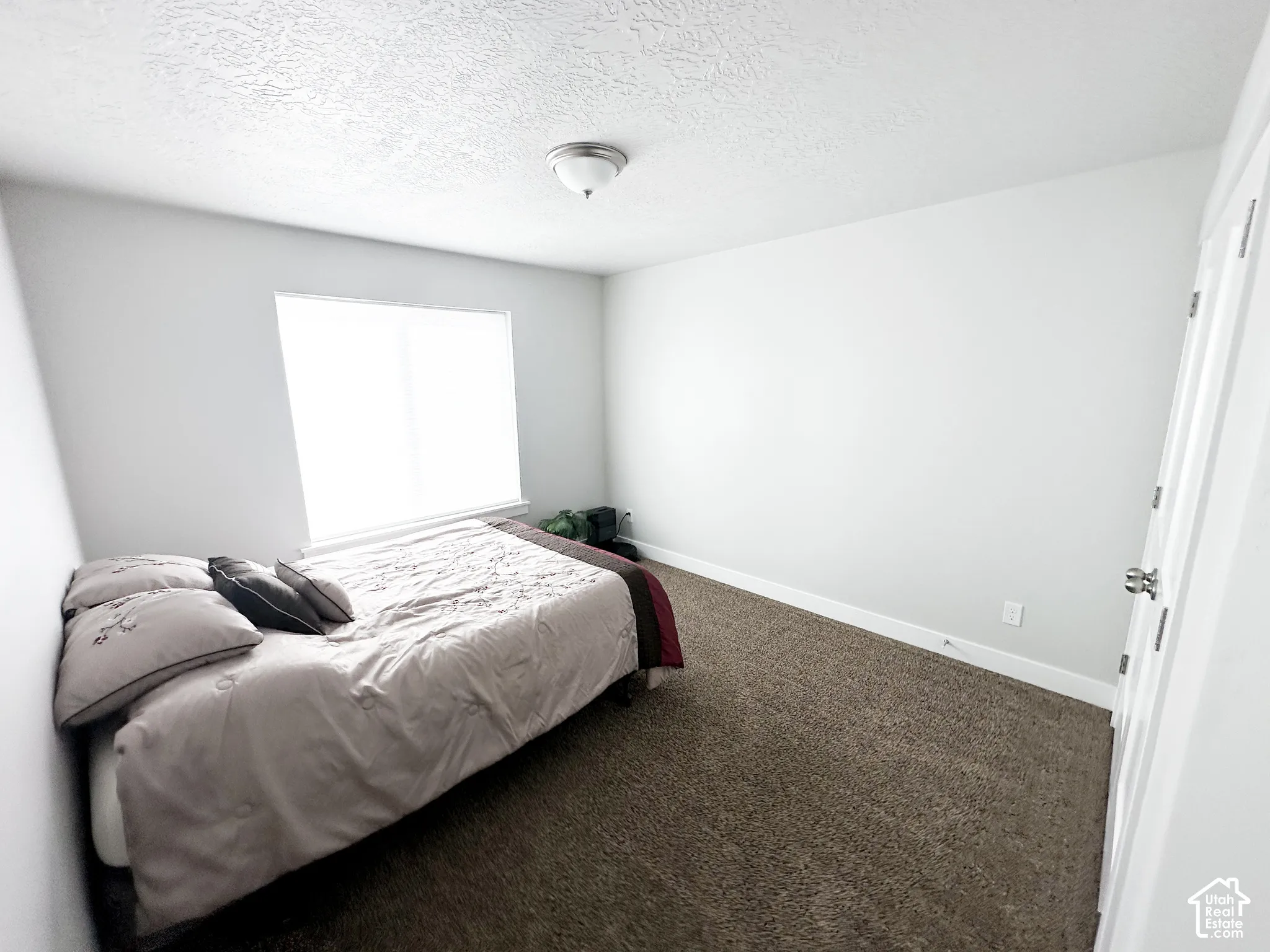 Carpeted flooring with white wall finishes, a white ceiling, and a single window