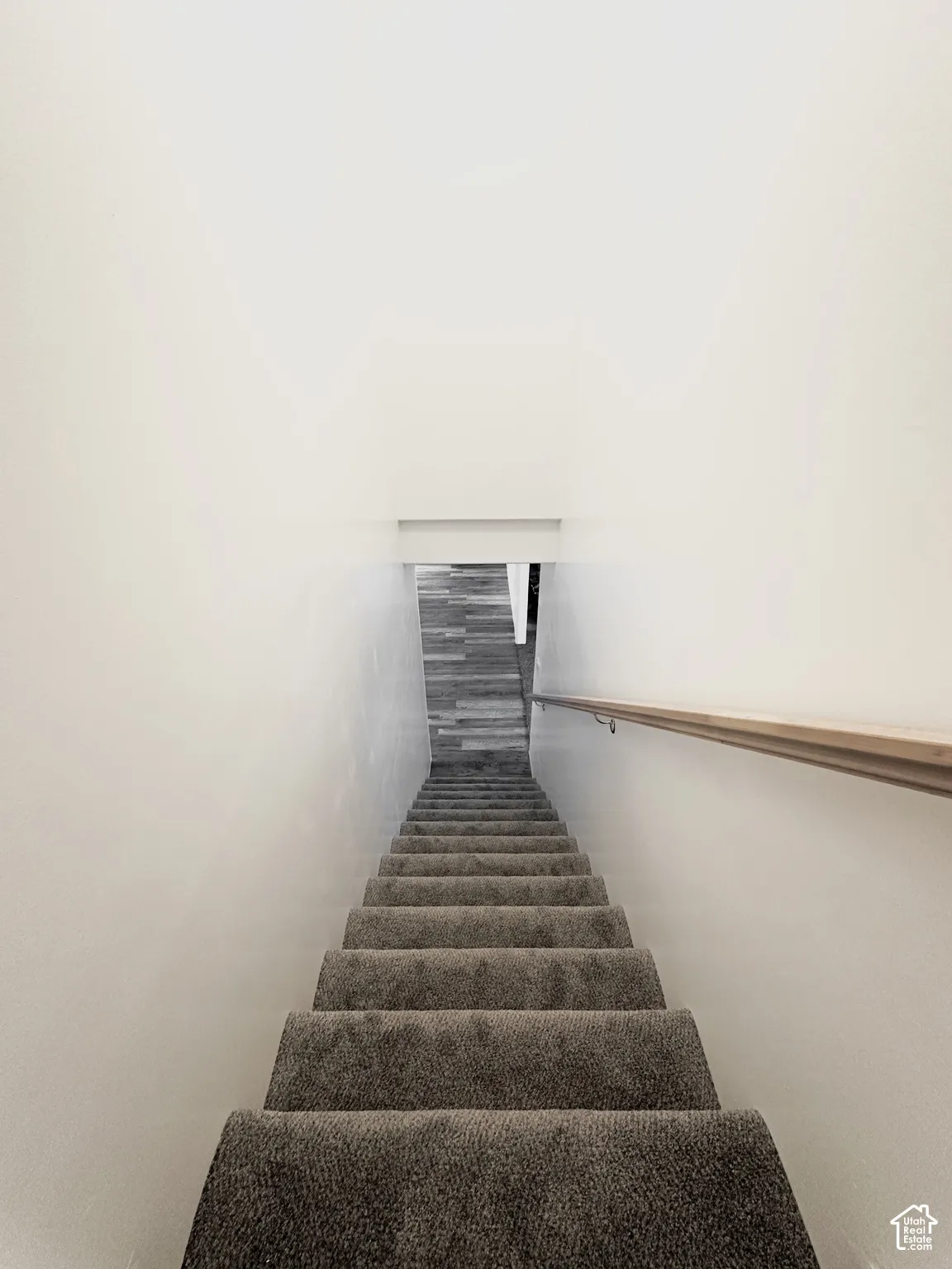 Carpeted staircase with a wood handrail