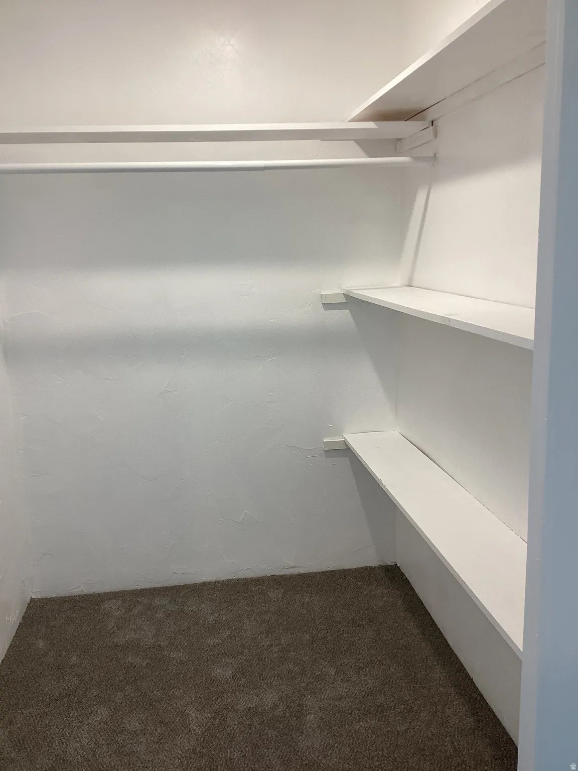 Walk in closet featuring dark carpet