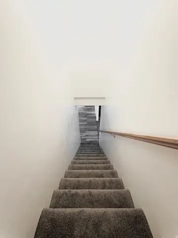 Carpeted staircase with a wood handrail