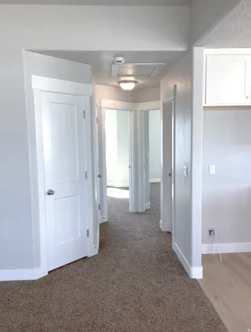 Neutral gray wall paint, white trim, wood-finish flooring, and brown carpet