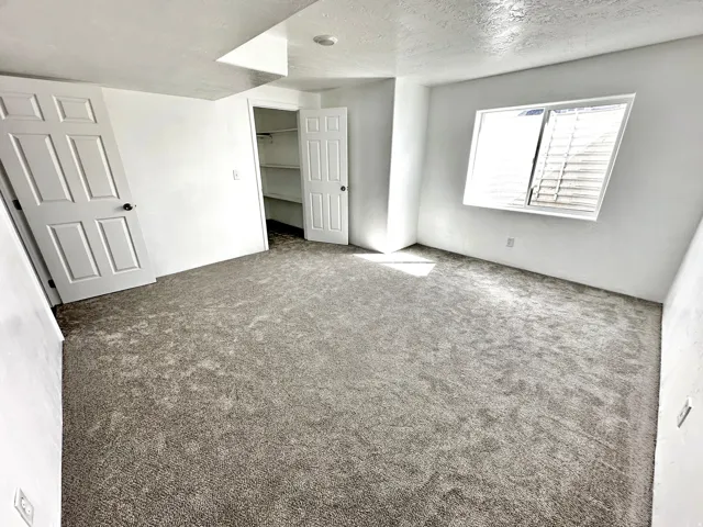 Neutral-toned carpeting, white walls, and a window with horizontal blinds