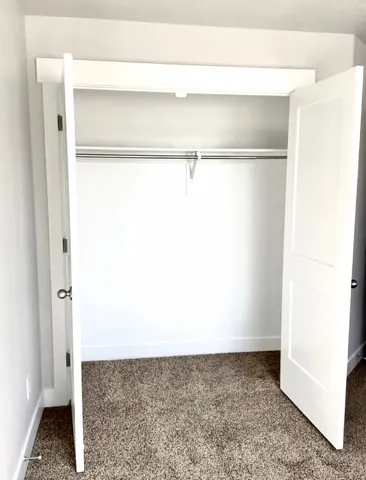 Spacious closet featuring a hanging rod, white paneled doors, and plush carpeting