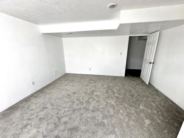 Light gray carpet, recessed ceiling lighting, textured white walls, and a paneled interior door