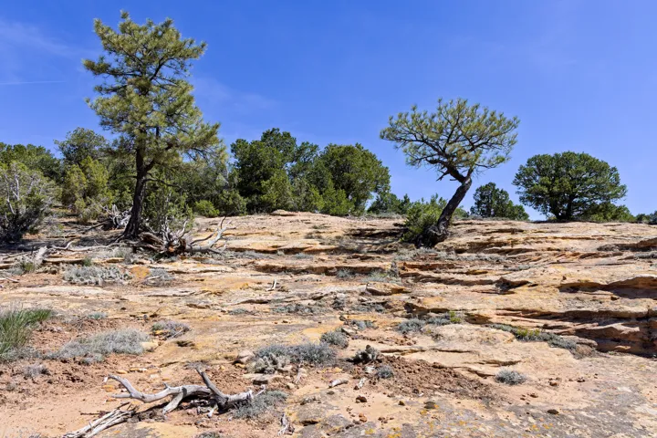 872 S Hideaway Cv, Monticello, Utah 84535