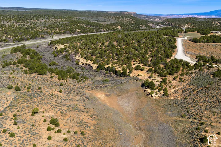 Expansive high-desert landscape featuring native juniper vegetation, rolling terrain, rock formations, and a gravel road surface