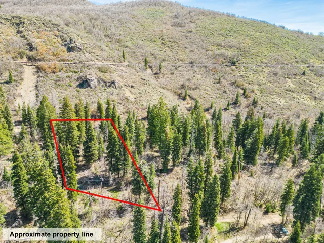 Aerial view of property and surrounding area featuring property boundaries highlighted and a mountain backdrop