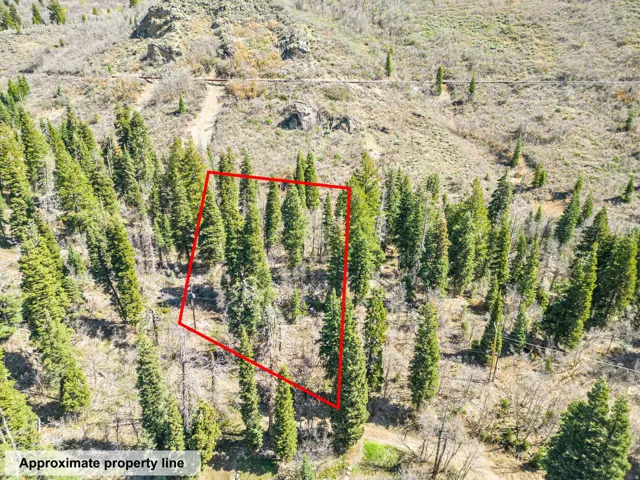 Aerial overview of property's location with property parcel outlined