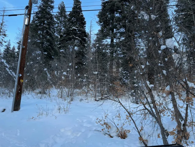 View of yard layered in snow