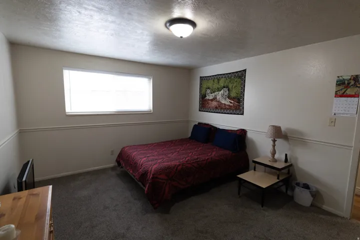 Bedroom with carpet