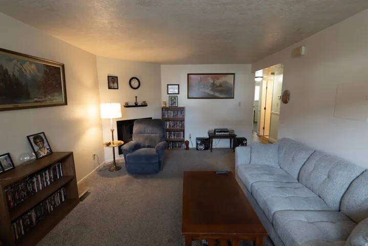 Living area with carpet