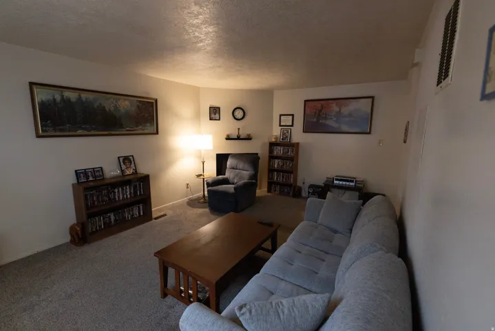 Carpeted living area