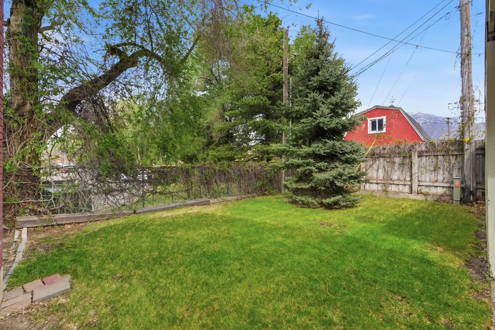 View of fenced backyard