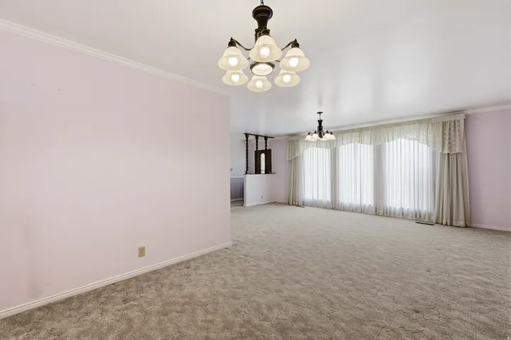 Carpeted empty room featuring suspended lighting and crown molding