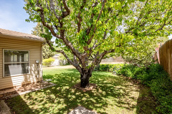 View of fenced backyard