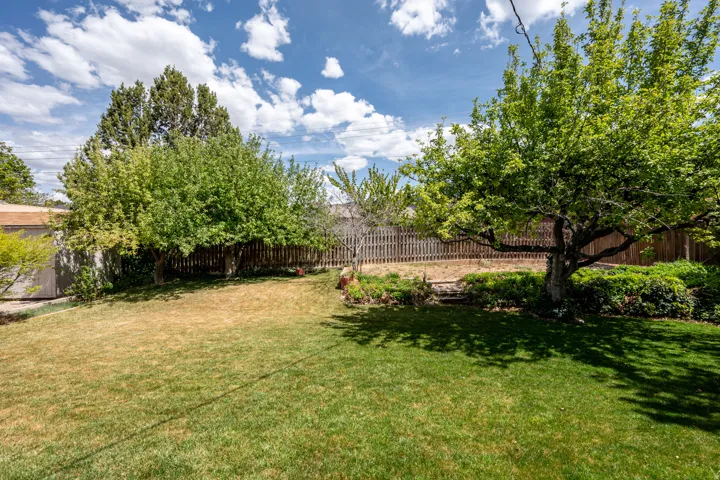View of fenced backyard