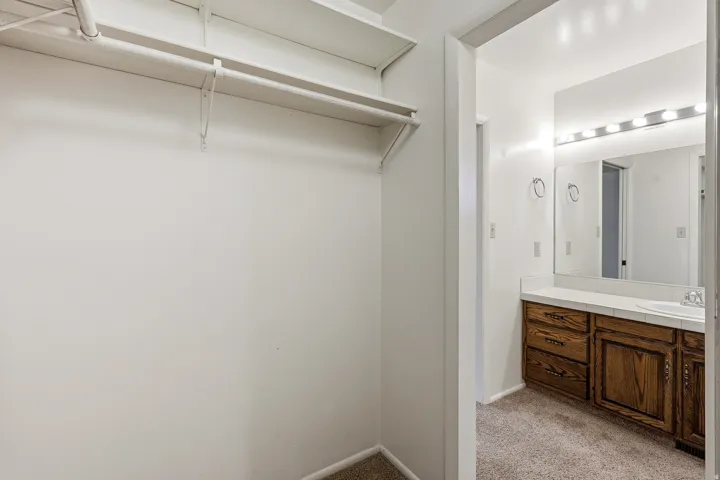 Bathroom with light carpet and vanity