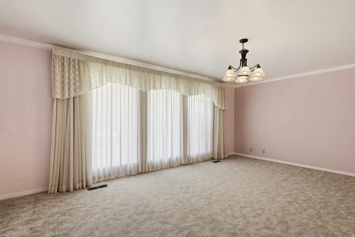 Unfurnished room with ornamental molding, hanging lights, and carpet flooring