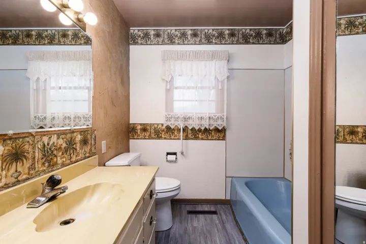 Full bathroom featuring vanity and dark wood-style flooring