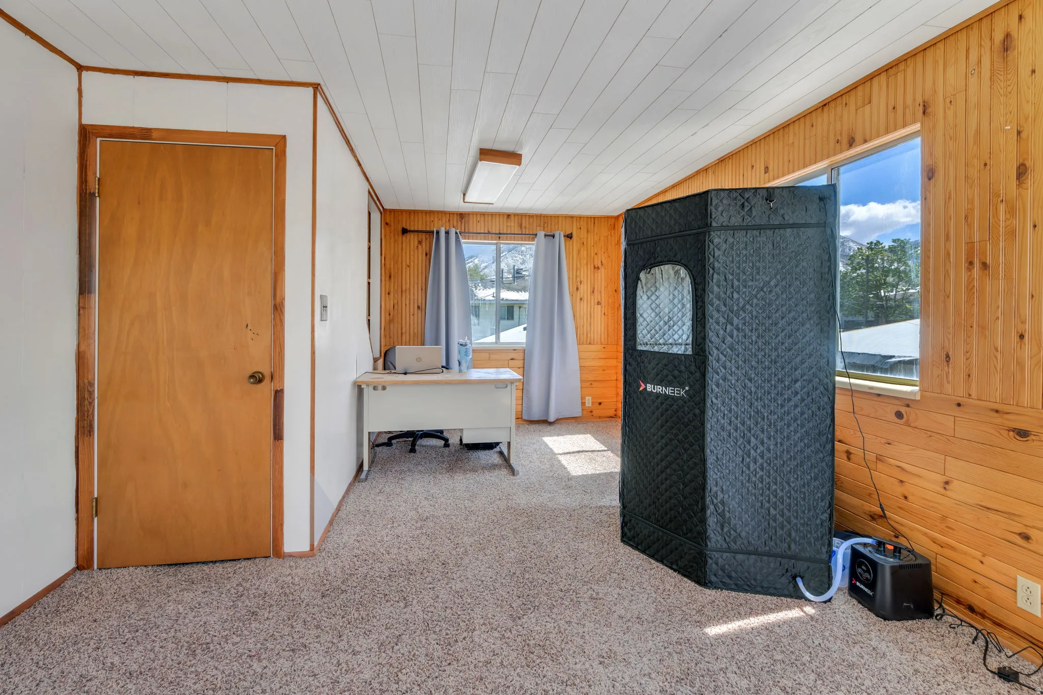 Interior space featuring wood walls, light colored carpet, and wood ceiling