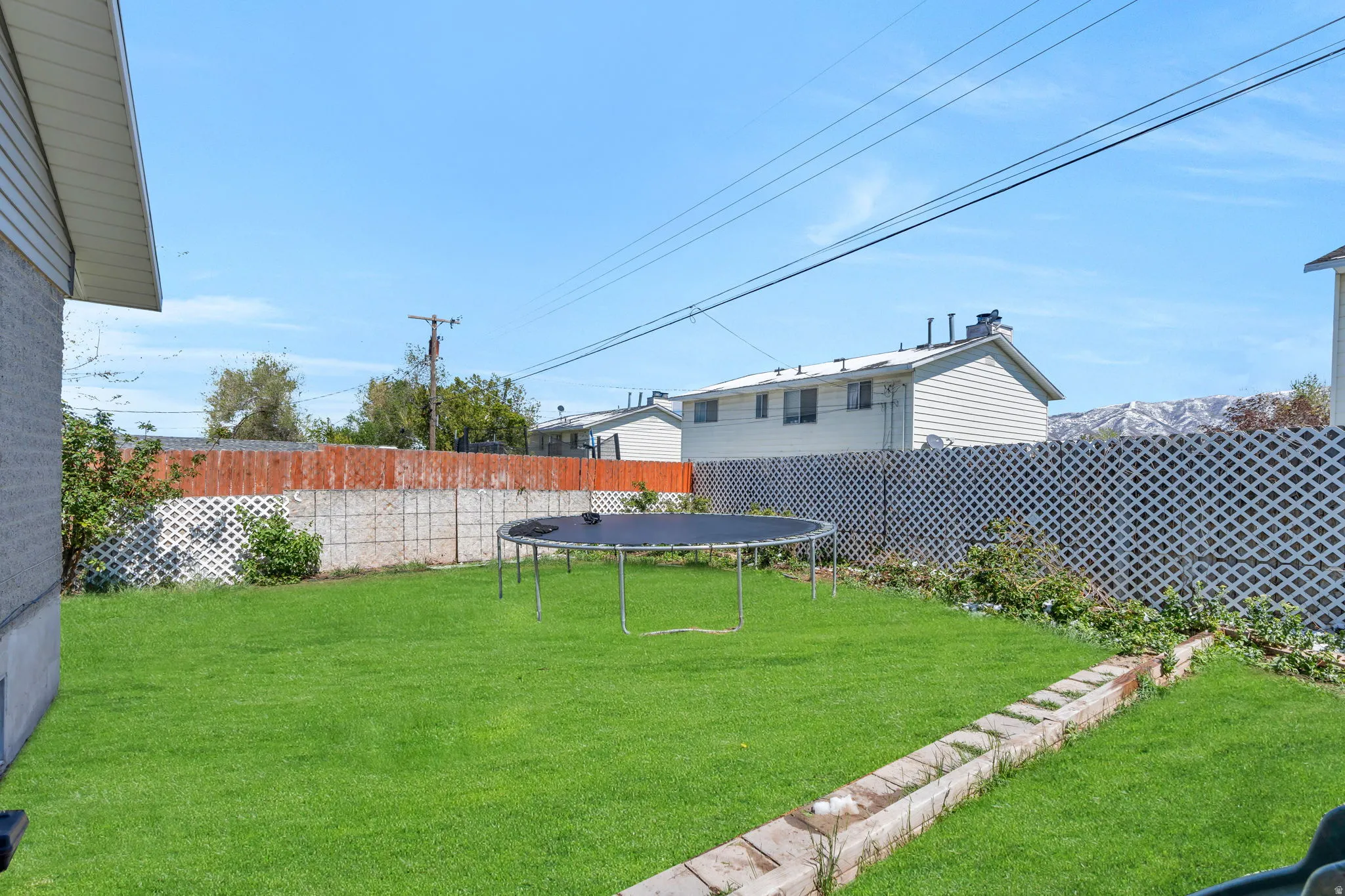 Back yard