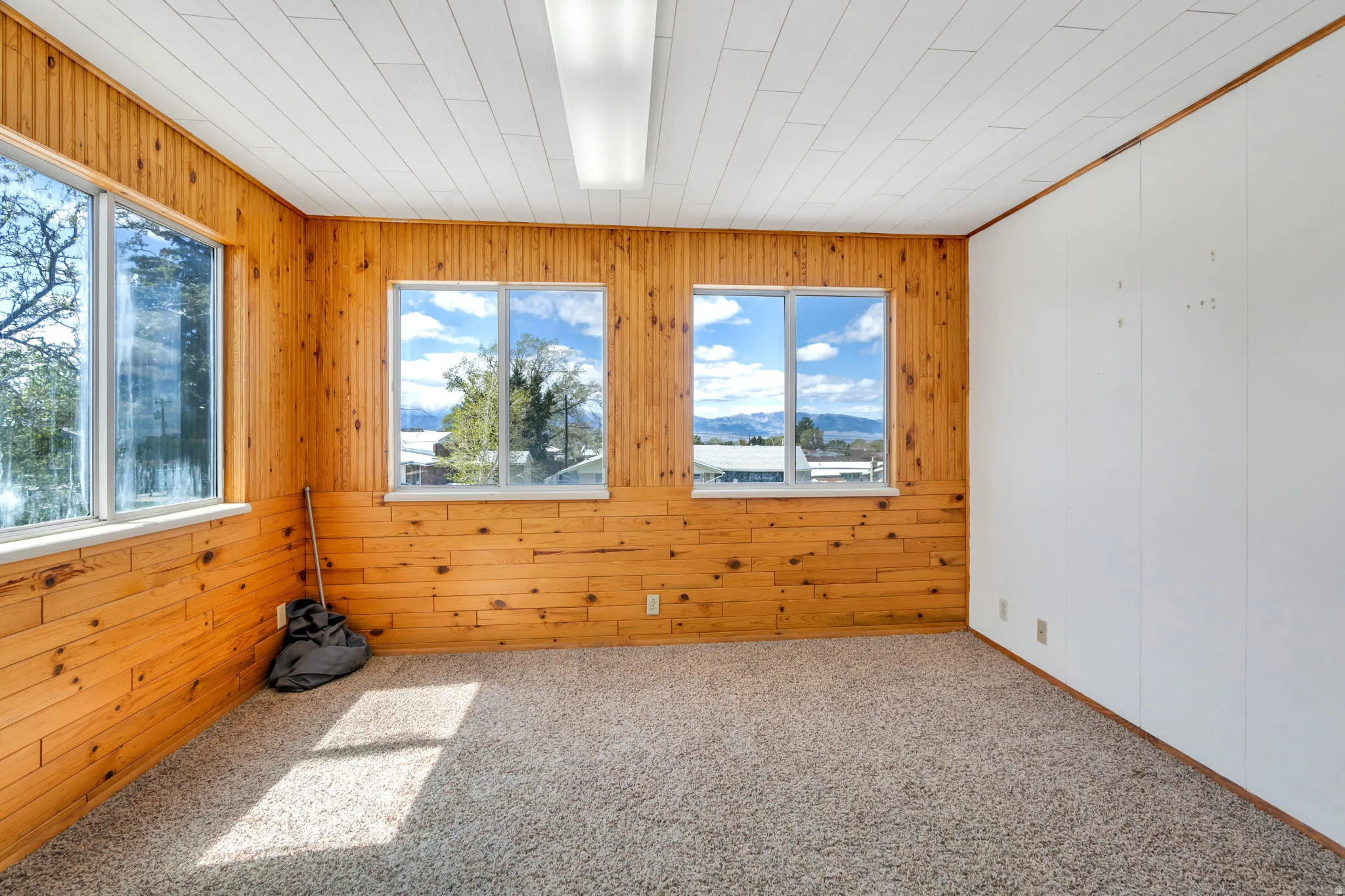 Carpeted spare room featuring wood walls