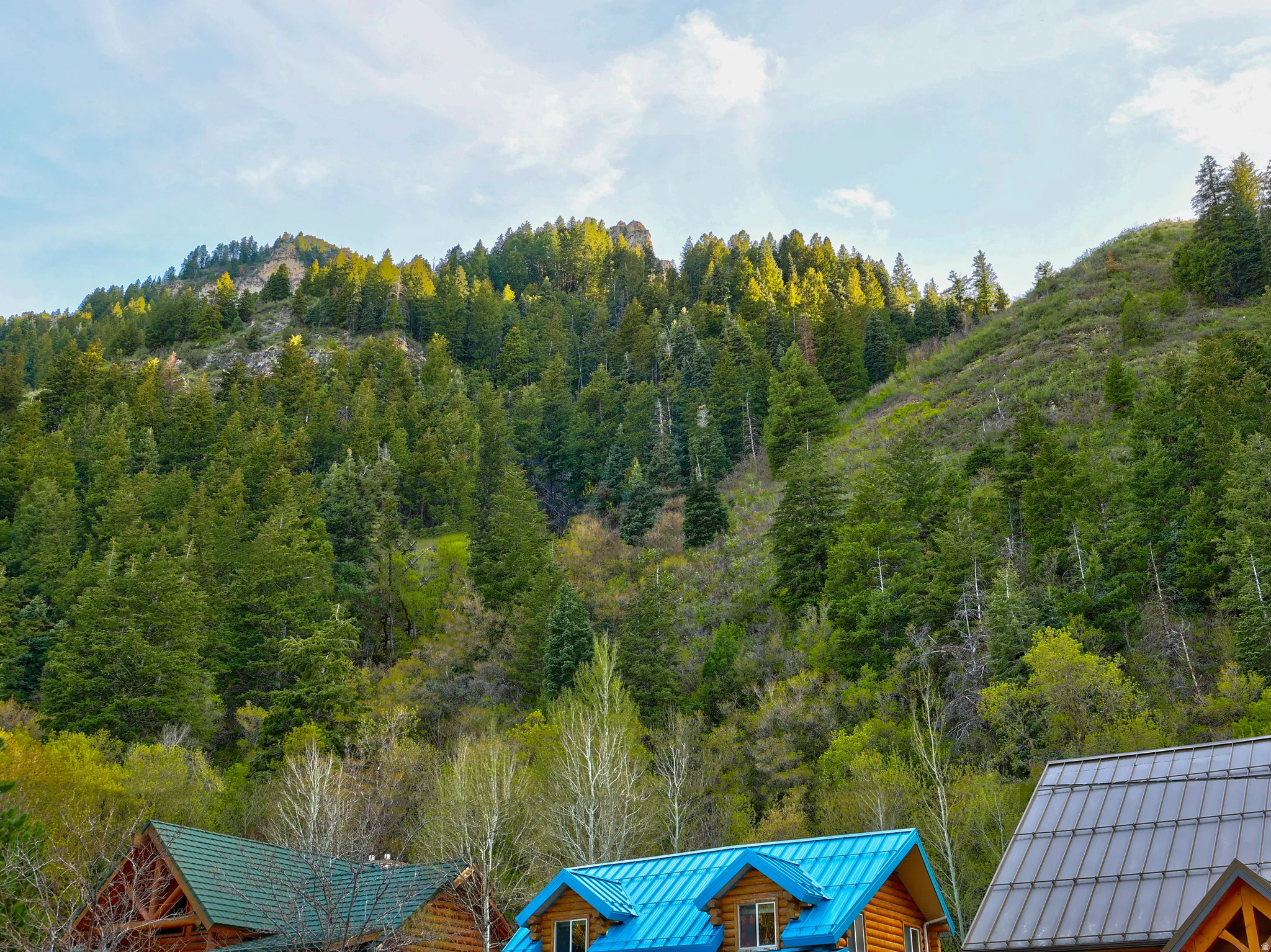 Mountain view