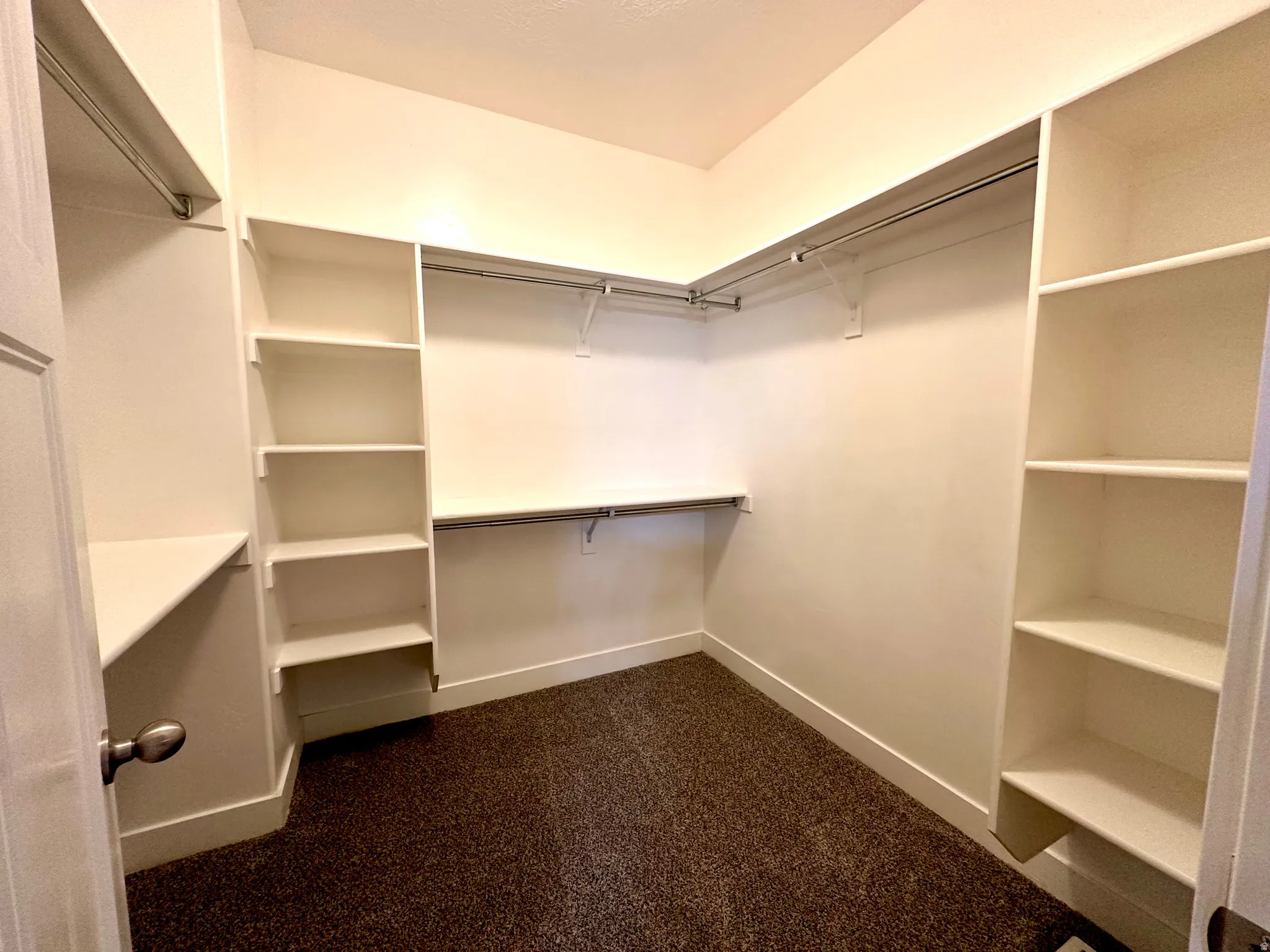 Walk in closet with dark carpet