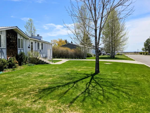 View of green lawn