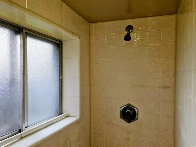 Bathroom view of a tile shower