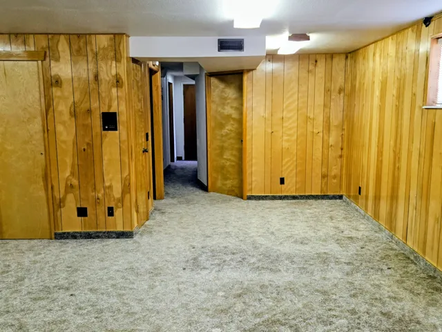 Finished basement with wood walls and light colored carpet